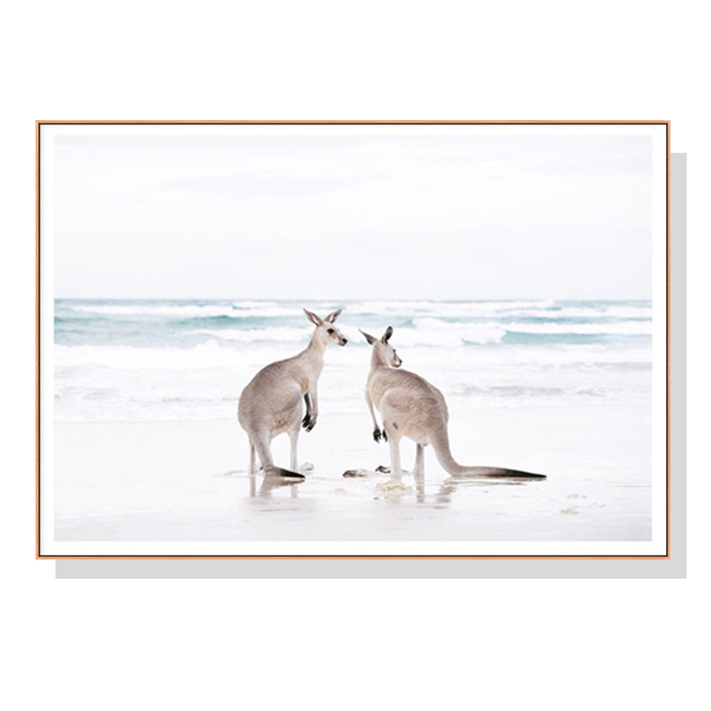 Kangaroo Wall Art – 70cm x 100cm Wood Frame Canvas