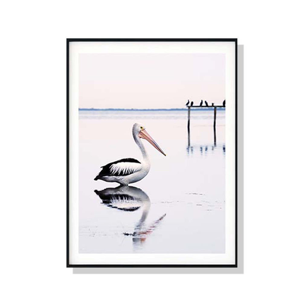 Pelican Wall Art – 80cm x 120cm Black Frame Canvas