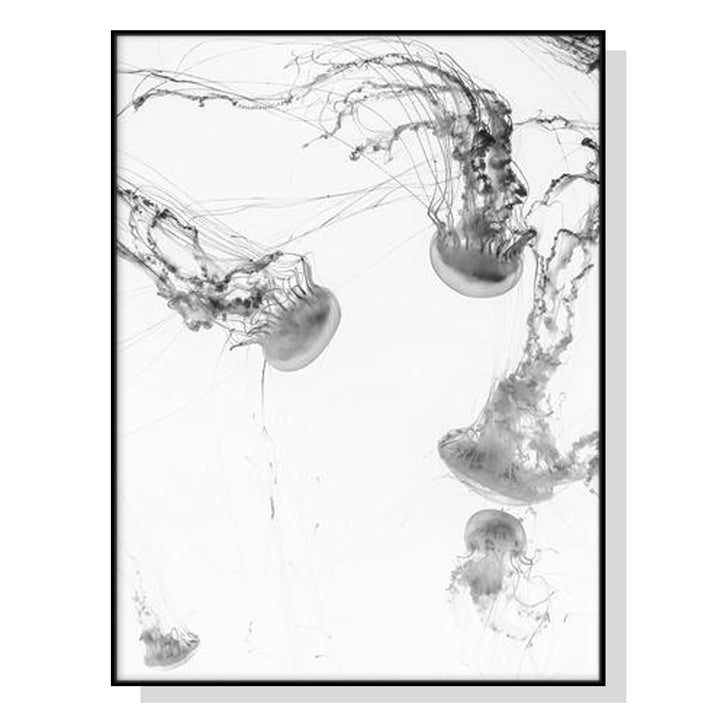 Jellyfish Wall Art – 80x120cm Black Frame Canvas